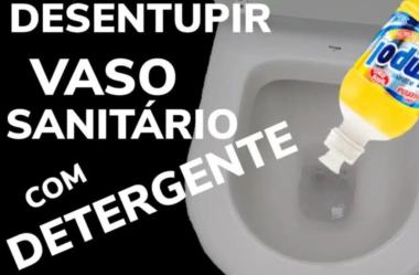 desentupir vaso sanitário