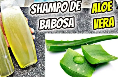 Shampoo de babosa caseiro