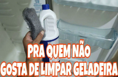 limpar geladeira 