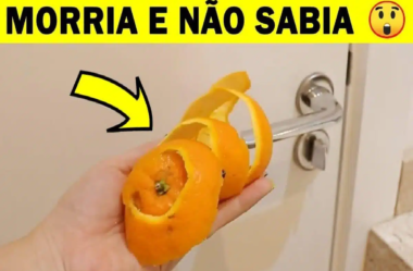 casca de laranja atrás das portas