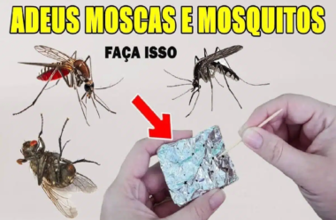 afastar os insetos 