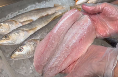 Tipos de peixe e formas de preparo: dona de peixaria dá dicas