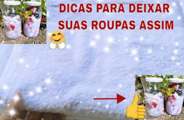 Dica para branquear roupas