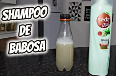 shampoo de babosa