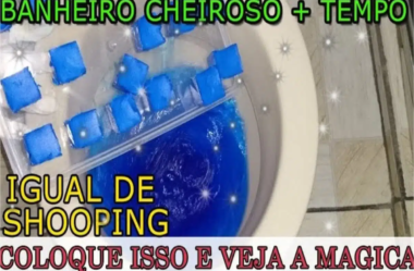 bloco sanitário caseiro