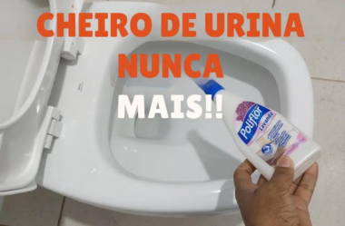 dica para limpar banheiro