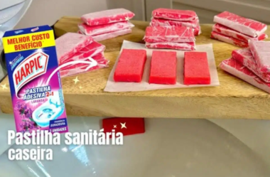 Pastilha sanitária caseira