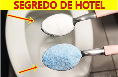 Como limpar vaso sanitário